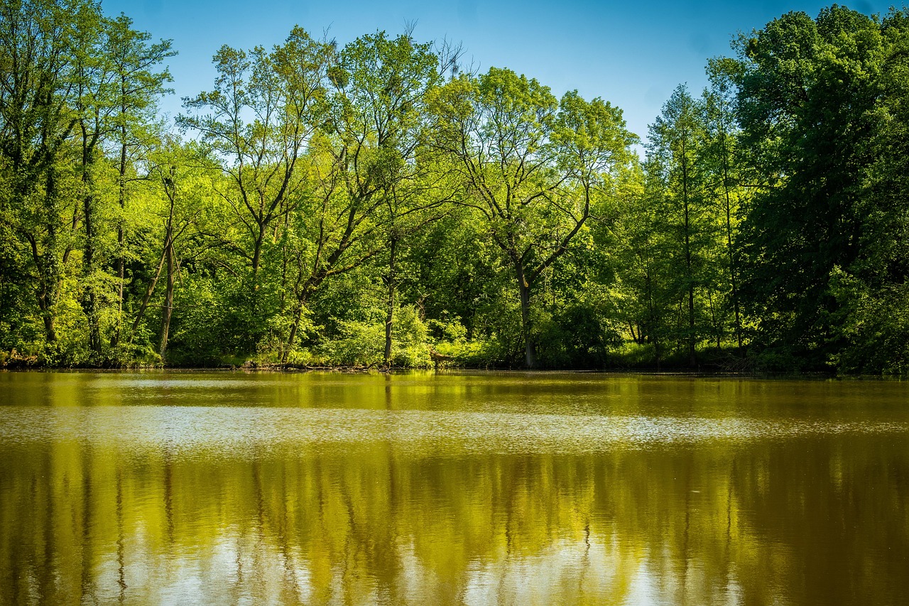 découvrez le concept de la caution solidaire (joint suretyship) : une garantie où plusieurs personnes s'engagent conjointement à rembourser une dette en cas de défaillance du débiteur principal.