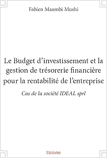 Le Budget d’investissement et la gestion de trésorerie financière pour la rentabilité de l’entreprise